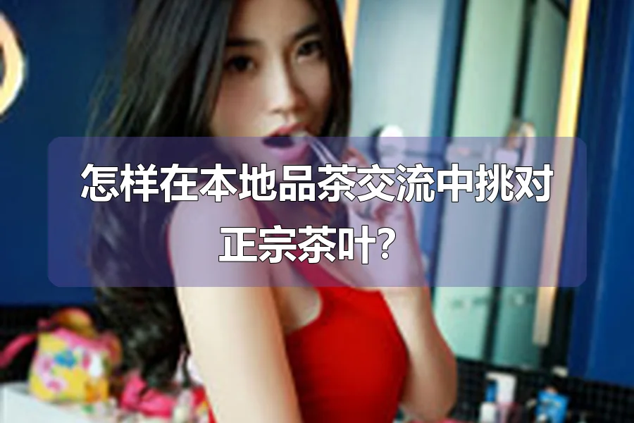 怎样在本地品茶交流中挑对正宗茶叶?